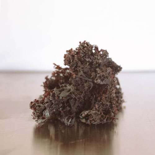 Irish moss gel